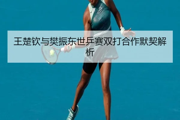 王楚钦与樊振东世乒赛双打合作默契解析